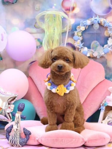 20240804ベルくん